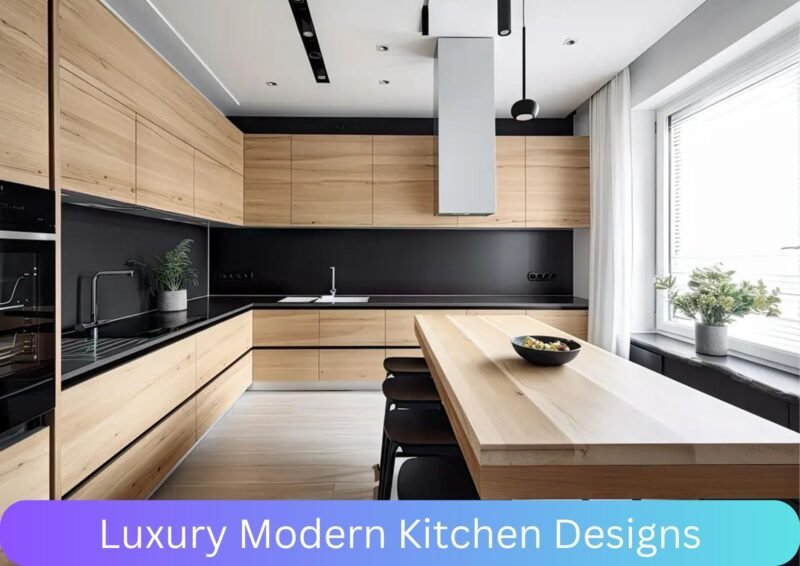 Luxury Modern Kitchen Designs