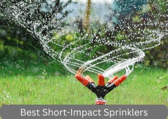 Best Short-Impact Sprinklers