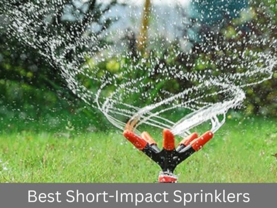 Best Short-Impact Sprinklers